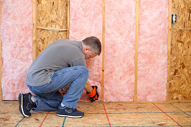 Best Home Insulation Services  in Chantilly, VA