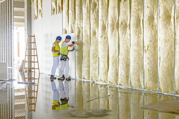 Best Insulation Replacement Services  in Chantilly, VA